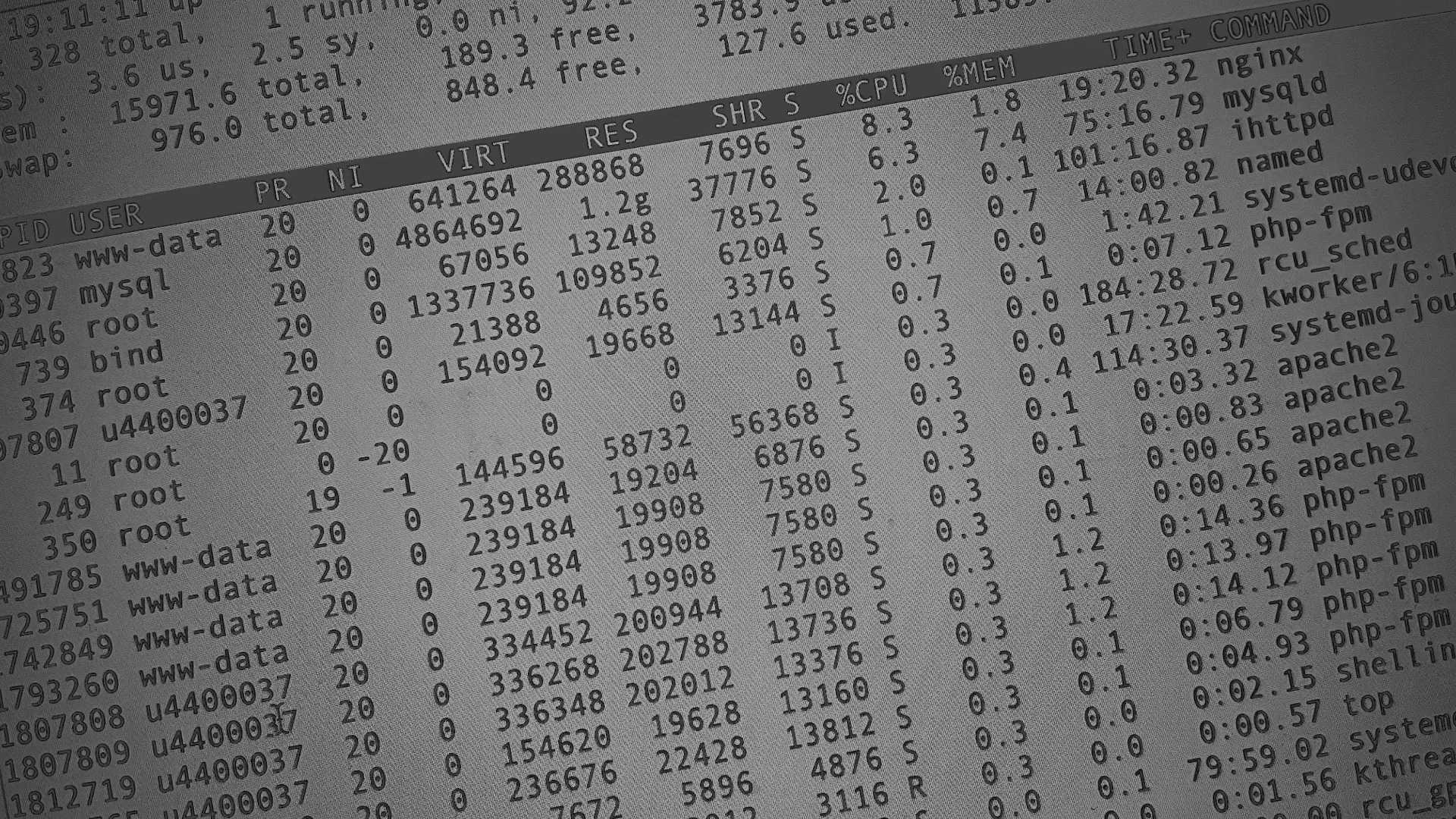 Настройка сервера в Каргате